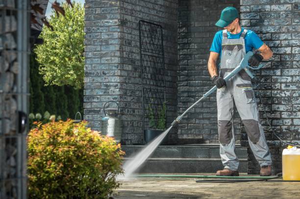 Best Solar Panel Cleaning  in Frewsburg, NY